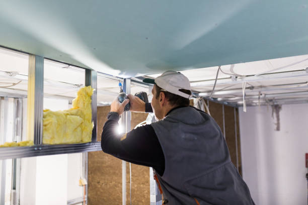 Eco-Friendly or Green Insulation Solutions in Laurel Springs, NJ