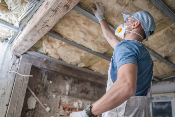 Best Insulation for New Construction  in Laurel Springs, NJ